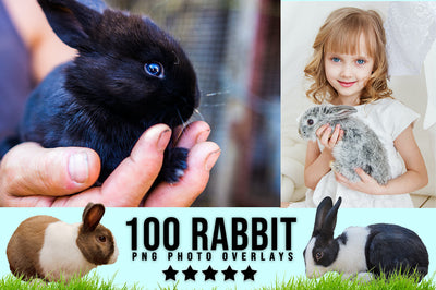3030+ Animal Photo Overlays Bundle - Artixty