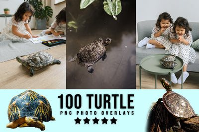 3030+ Animal Photo Overlays Bundle - Artixty