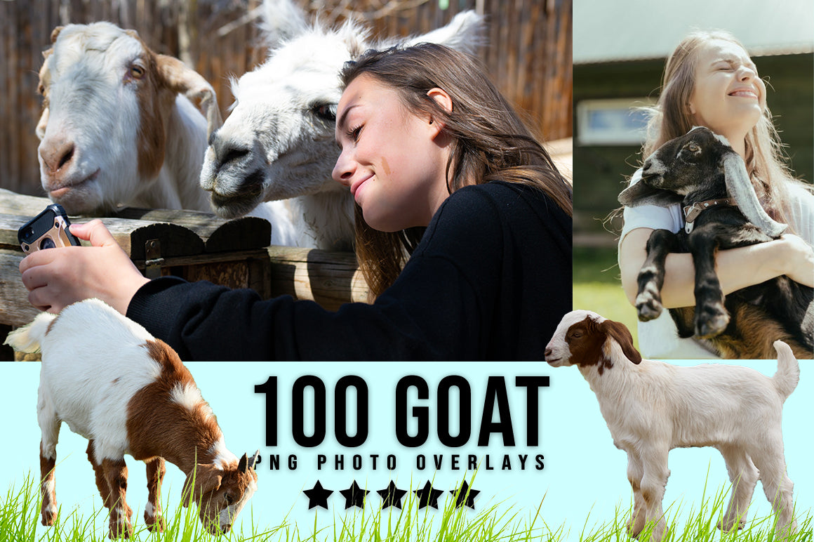 3030+ Animal Photo Overlays Bundle - Artixty