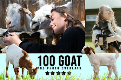 3030+ Animal Photo Overlays Bundle - Artixty