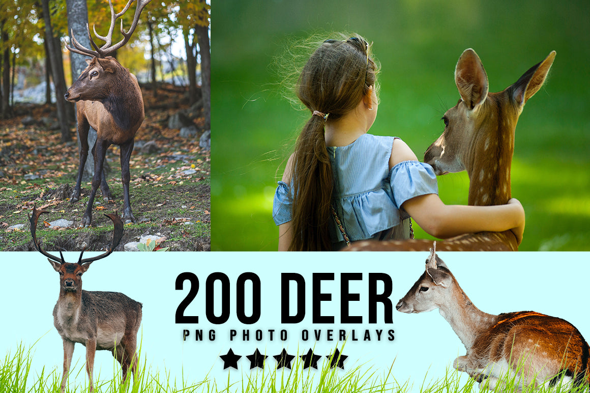 3030+ Animal Photo Overlays Bundle - Artixty