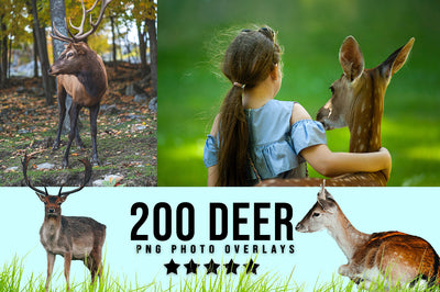 3030+ Animal Photo Overlays Bundle - Artixty