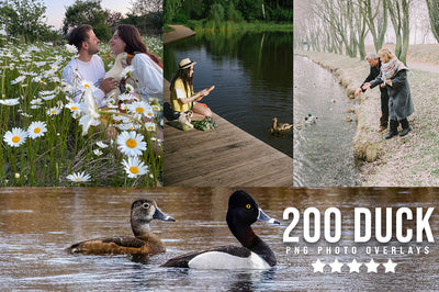 3030+ Animal Photo Overlays Bundle - Artixty