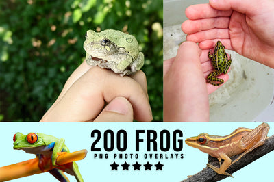 3030+ Animal Photo Overlays Bundle - Artixty