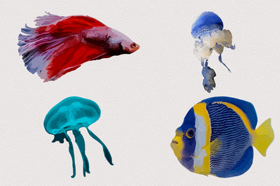 1040+ Amazing Watercolor Illustrations Bundle - Artixty