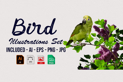 1040+ Amazing Watercolor Illustrations Bundle - Artixty