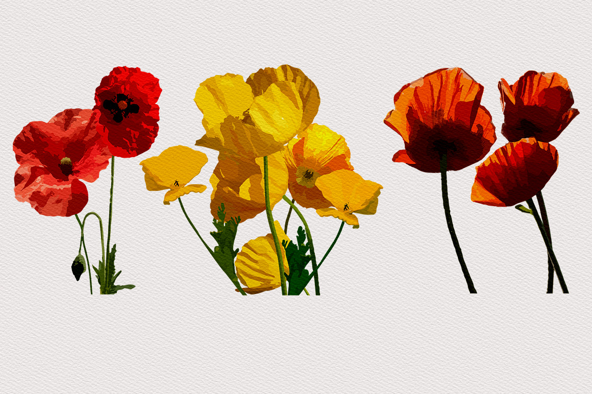 1040+ Amazing Watercolor Illustrations Bundle - Artixty