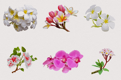 1040+ Amazing Watercolor Illustrations Bundle - Artixty