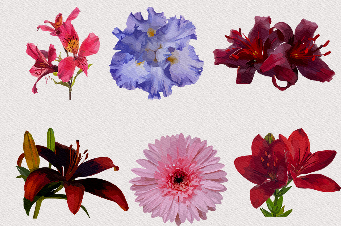 1040+ Amazing Watercolor Illustrations Bundle - Artixty