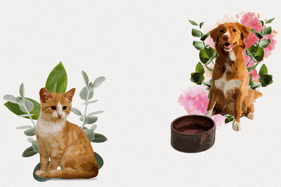 1040+ Amazing Watercolor Illustrations Bundle - Artixty