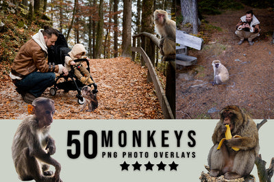 3030+ Animal Photo Overlays Bundle - Artixty