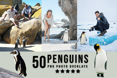 3030+ Animal Photo Overlays Bundle - Artixty