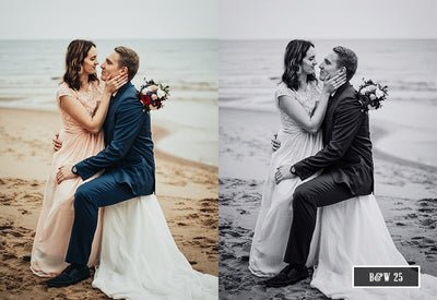 200+ Cinematic Wedding Photoshop Actions Bundle-Add-Ons-Artixty