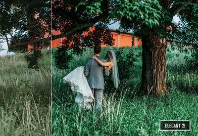 200+ Cinematic Wedding Photoshop Actions Bundle-Add-Ons-Artixty