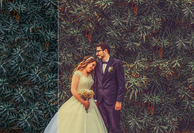 200+ Cinematic Wedding Photoshop Actions Bundle-Add-Ons-Artixty