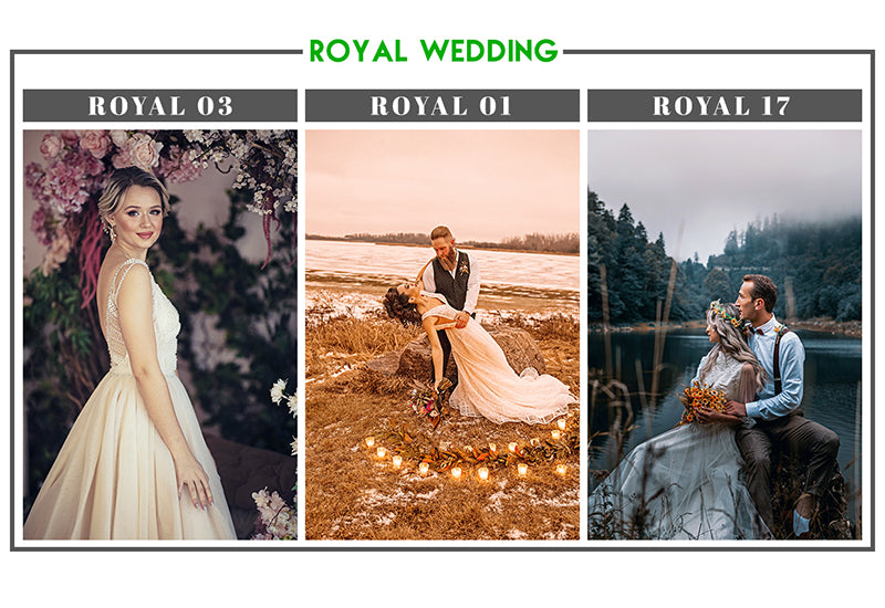 200+ Cinematic Wedding Photoshop Actions Bundle-Add-Ons-Artixty