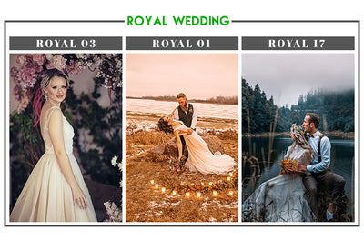 200+ Cinematic Wedding Photoshop Actions Bundle-Add-Ons-Artixty