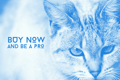 The Superb Bundle Of Photoshop Tools - Artixty