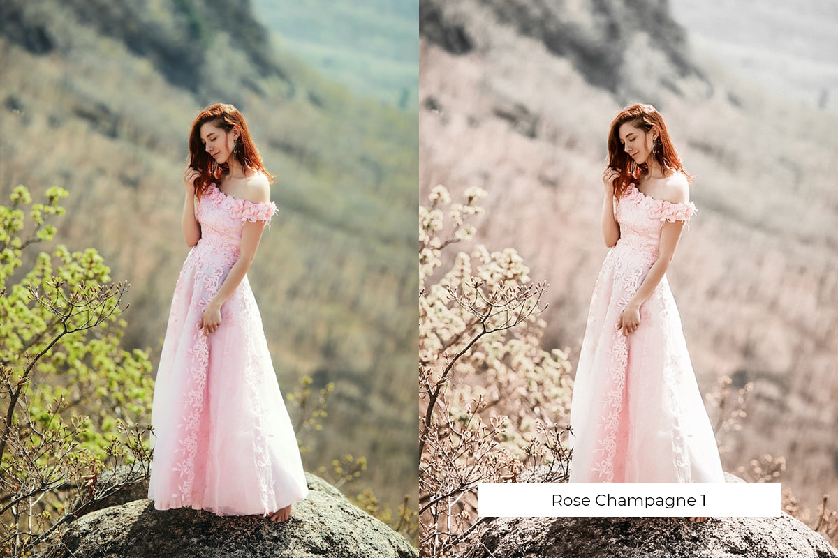 The Lightroom Presets Collection - 216 Presets