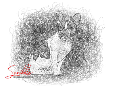 The Scribble & Sketch Photo Effects Templates Bundle - Artixty