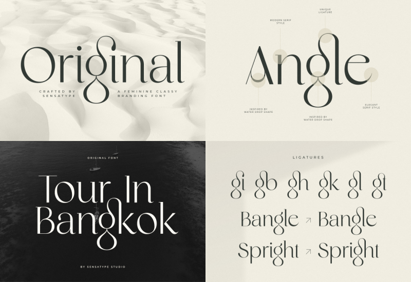 Unique Branding Modern Font Bundles - Artixty