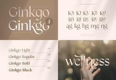 Unique Branding Modern Font Bundles - Artixty