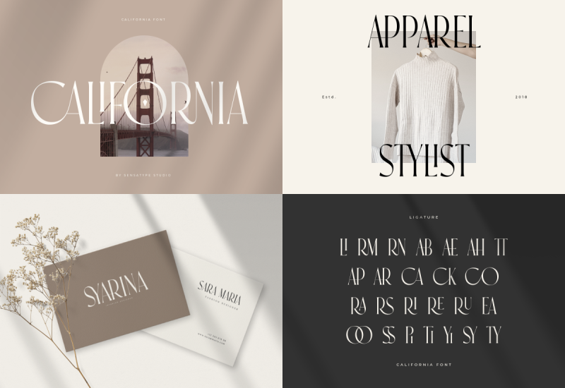 Unique Branding Modern Font Bundles - Artixty