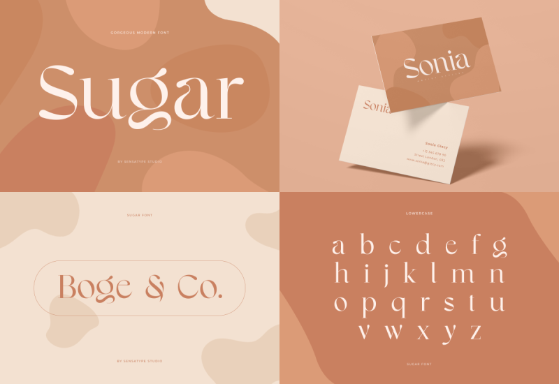 Unique Branding Modern Font Bundles - Artixty