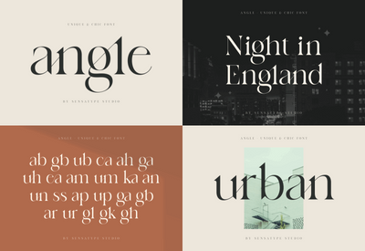 The Unique & Classy Modern Font Bundle - Artixty