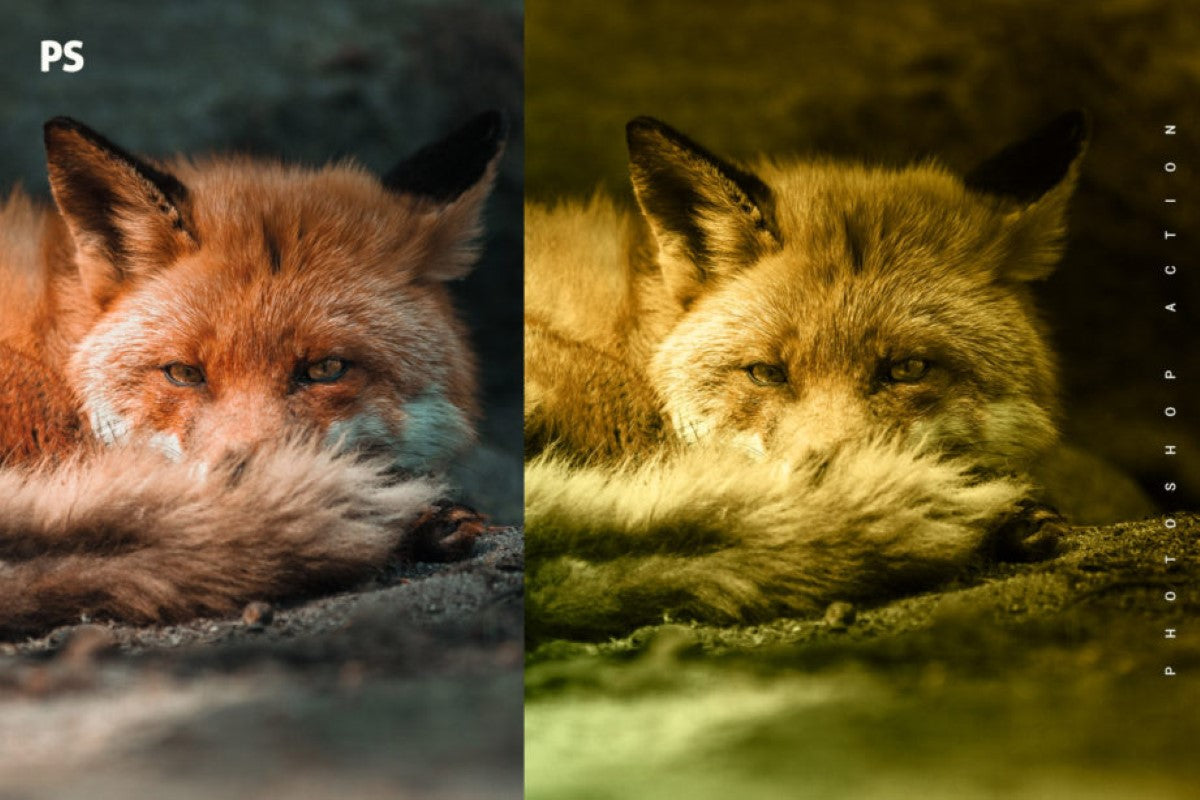 111+ Ingenious Photoshop Actions Bundle-Add-Ons-Artixty