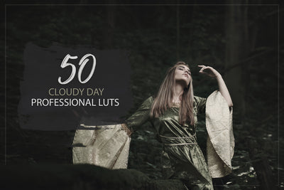 The 5000 Dramatic LUTs Mega Bundle-Add-Ons-Artixty