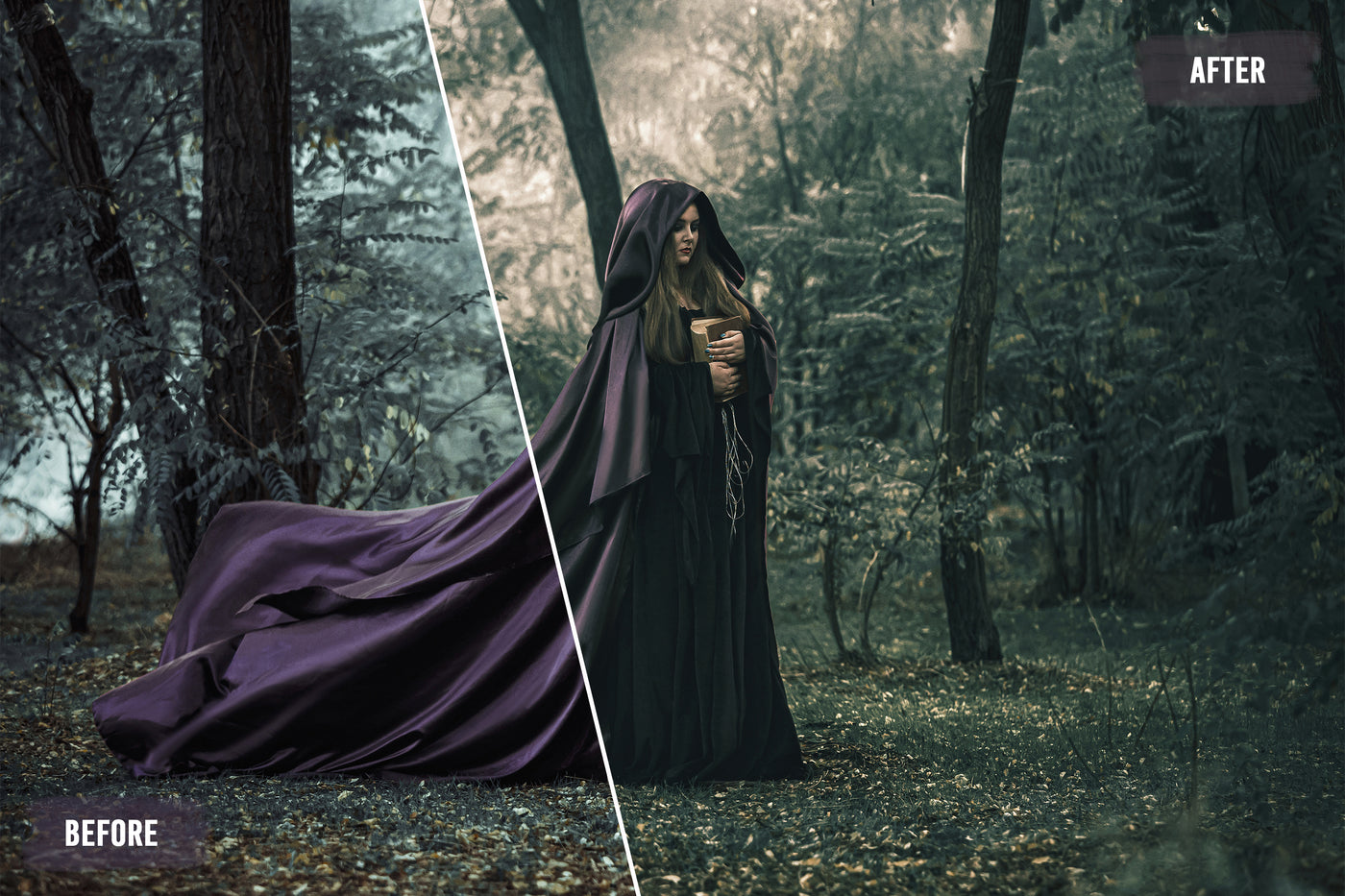 2000+ Finest Filmmaking LUTs And Presets Bundle-Add-Ons-Artixty