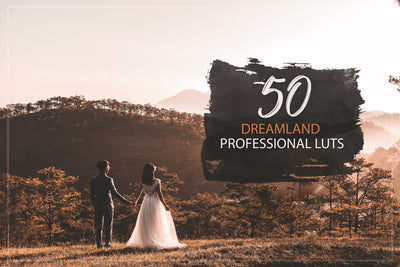 The 5000 Dramatic LUTs Mega Bundle-Add-Ons-Artixty