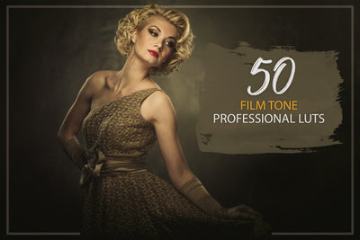 2000+ Finest Filmmaking LUTs And Presets Bundle-Add-Ons-Artixty