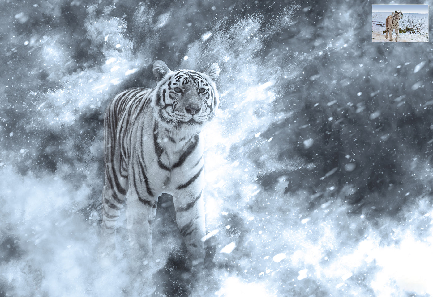 Amazing Fantasy Photoshop Actions Bundle-Add-Ons-Artixty