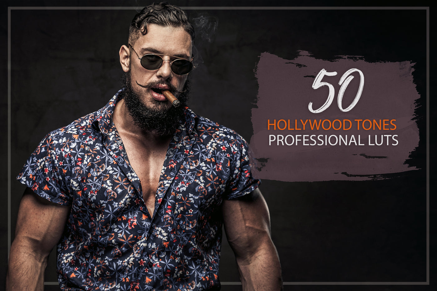 2000+ Finest Filmmaking LUTs And Presets Bundle-Add-Ons-Artixty