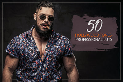 2000+ Finest Filmmaking LUTs And Presets Bundle-Add-Ons-Artixty