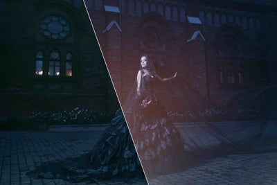 1900+ Halloween Photo Overlays Bundle - Artixty