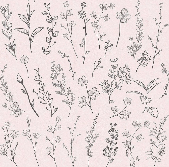 5300-In-1 Design Bundle By Olya Creative - Artixty