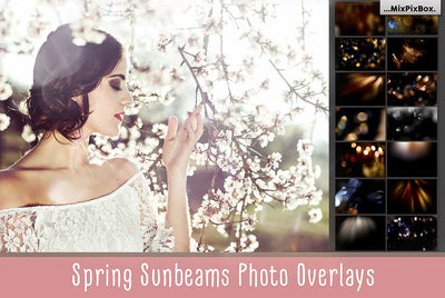 The Enormous Bundle Of 1600+ Photo Overlays - Artixty