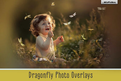 The Enormous Bundle Of 1600+ Photo Overlays - Artixty