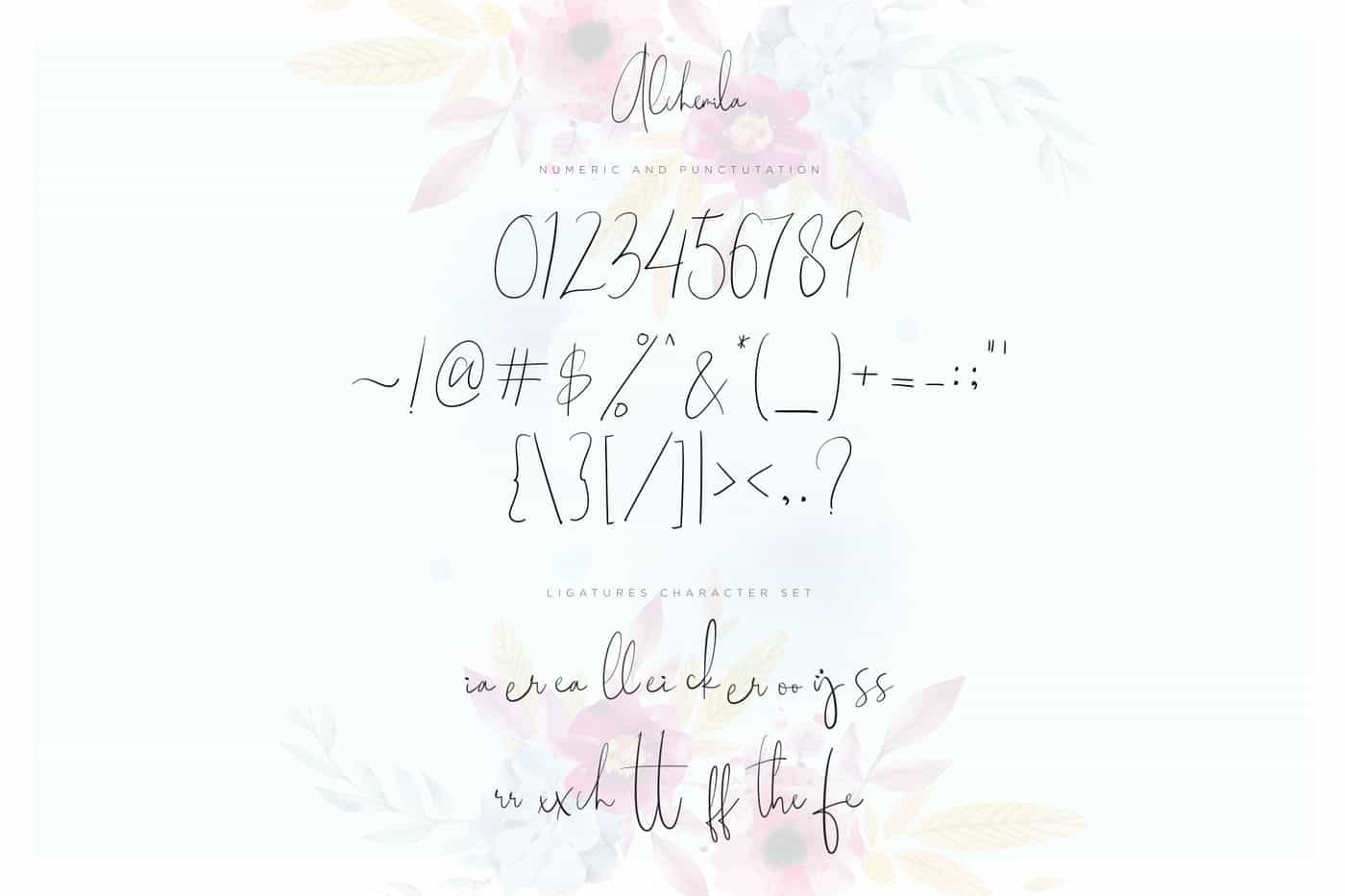 The Wonderful Font Bundle - 15 Script Fonts-Fonts-Artixty