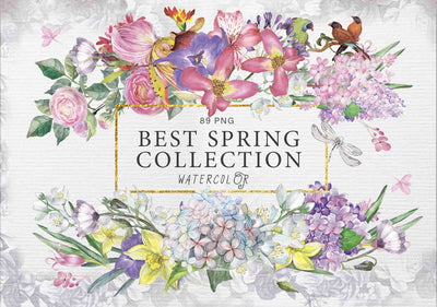 17000+ Exquisite Watercolor Design Library-Graphics-Artixty