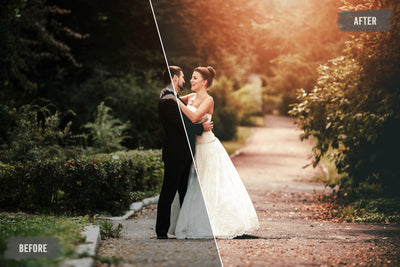 The Majestic Wedding LUTs Collection - 1000+ Presets-Add-Ons-Artixty