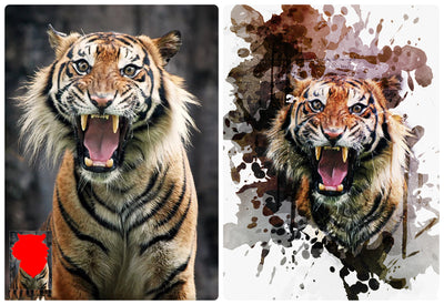 Amazing Fantasy Photoshop Actions Bundle-Add-Ons-Artixty