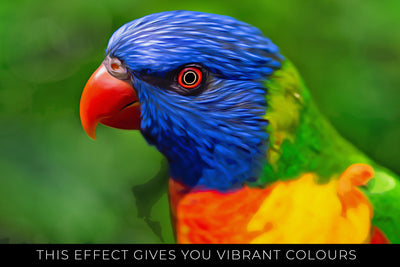 The Digital Art Photoshop Actions Bundle-Add-Ons-Artixty