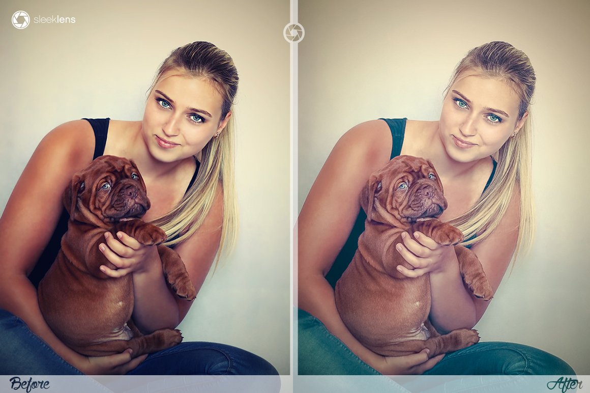 The Ultimate Lightroom Preset Bundle By Sleeklens - Artixty