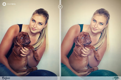 The Ultimate Lightroom Preset Bundle By Sleeklens - Artixty