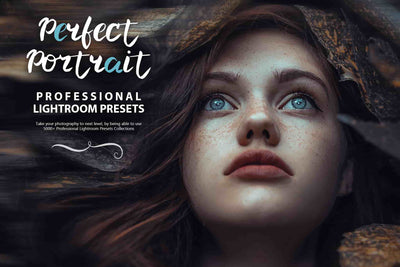 3100 Extraordinary Lightroom Presets Bundle-Add-Ons-Artixty