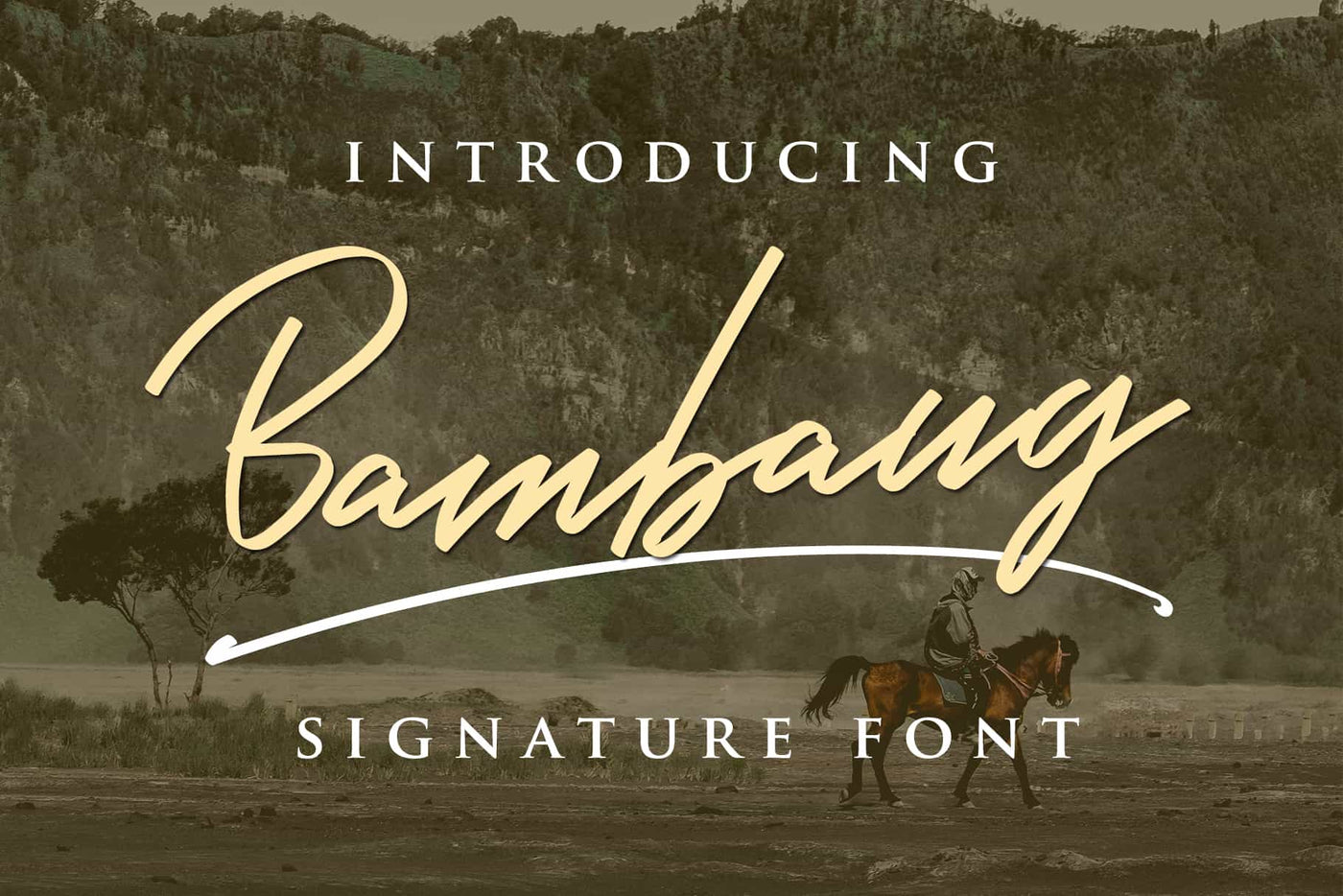 The Crafting Font Collection - 83 Best Selling Fonts-Fonts-Artixty